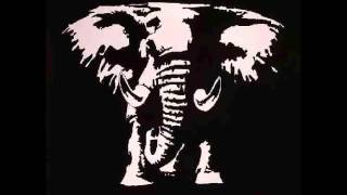 J Majik & Wickaman - Elephant