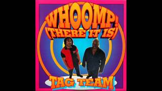 Tag Team  Whoomp! There It Is super clean version