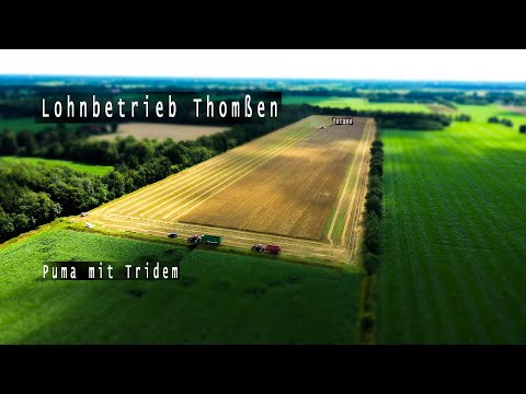Lohnbetrieb Hilmar Thomßen - Getreide 2020 mit einem CLAAS Tucano | 1000m Feld | 4K