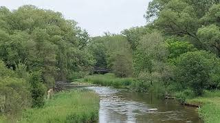 a small river / stream in canada