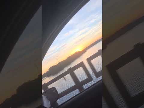 Rio Grande - Conceição das Alagoas-MG - #shorts #viral #pesca #fishing #bass #pescaria #tucunare
