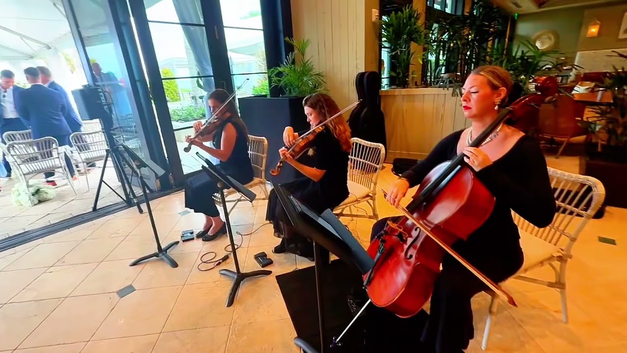 Promotional video thumbnail 6 for Perle Noire String Musicians