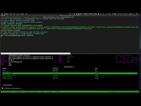 Istio 1.6 Deep Dive Certificate Rotation - Part 4
