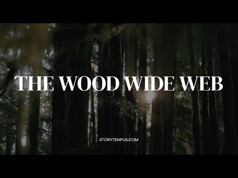 The Wood Wide Web