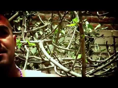 Vivir sin ti J10 el paisa ft la torita