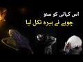 A Rat Took Out A Diamond Rat Story Learn Life Motivation