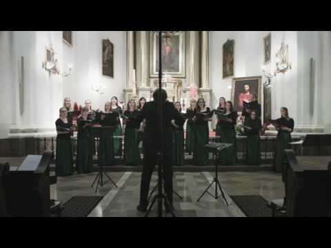 Chór WUM: Johannes Brahms – Märznacht op. 44 nr 12 (Zwölf Lieder und Romanzen)