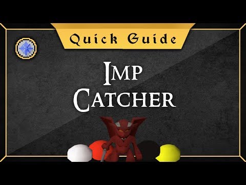 [Quick Guide] Imp Catcher