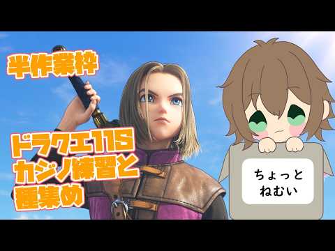 【ドラゴンクエストⅪS】半作業枠 カジノ練習と種集め