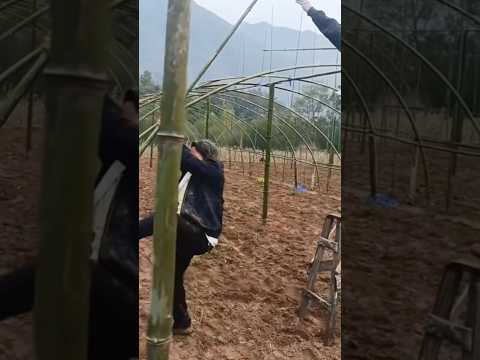 #machinery #tooltips #satisfying #machine #factory #shorts #youtubeshorts #machinewonders #4974