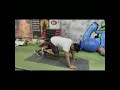 Lower body fat
