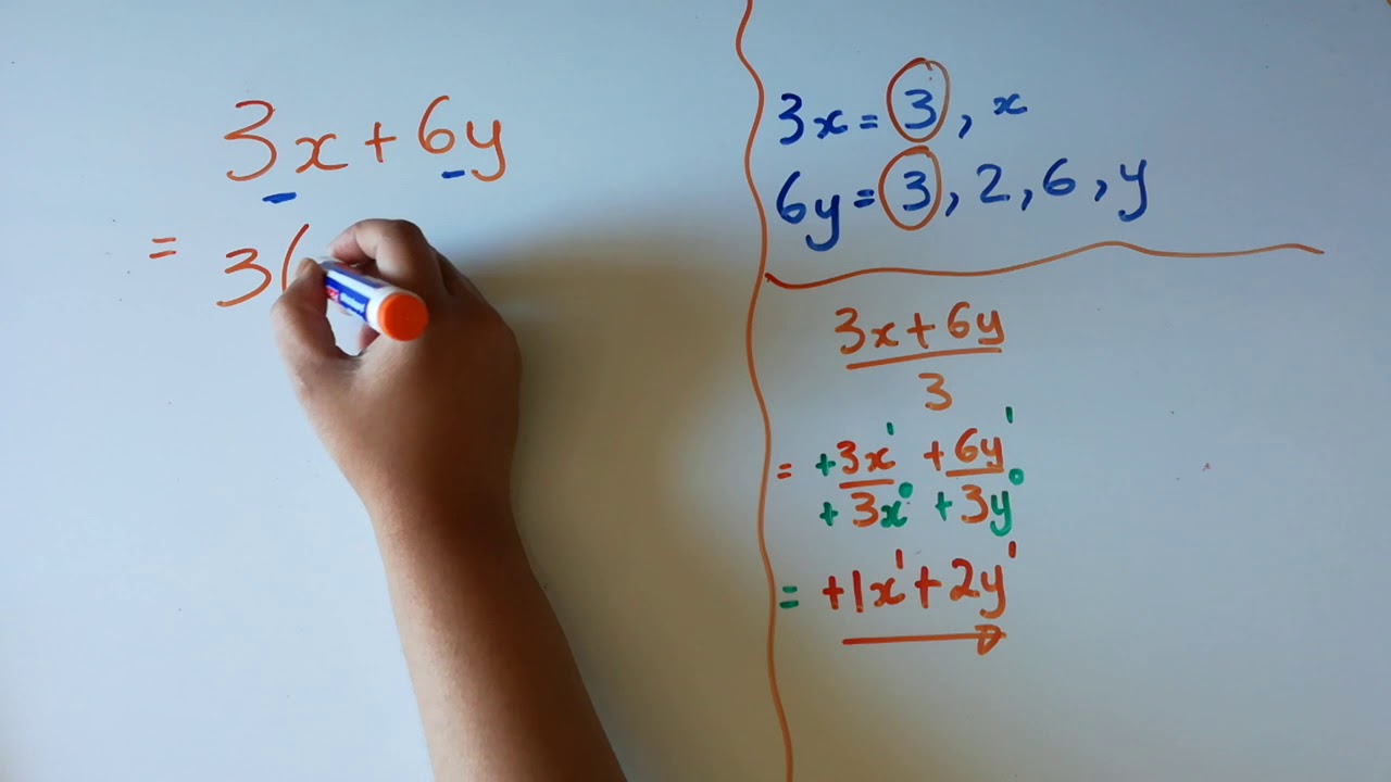 Factorisation by taking out the common factor