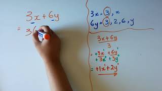 Factorisation by taking out the common factor