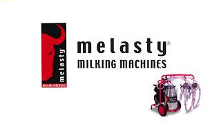 Work Time For MELASTY