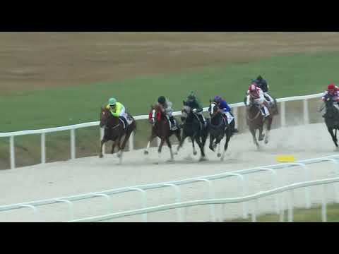 2017.11.12. 2. futam - NYERETLEN KÉTÉVESEK VERSENYE (IV.kat.) (szintetikus pálya)