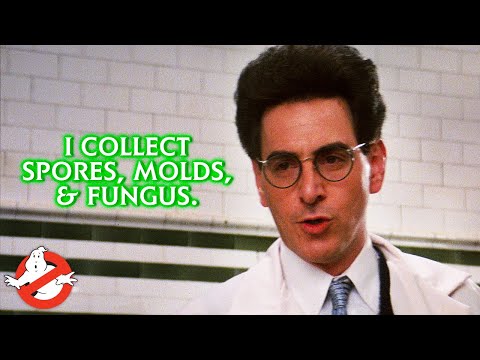 The Best Of Egon Spengler