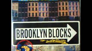 Masta Ace ft Buckshot - Brooklyn Blocks