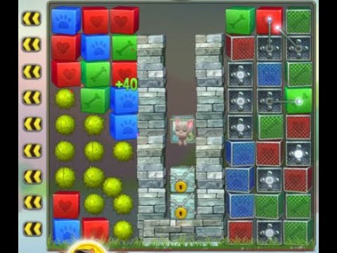 Pet Rescue Saga Level 6560 no boosters