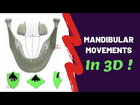 Mandibular Movements in 3D | SUPER EASY