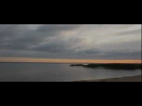 leZAKAPIORko - BIL [JULY oficiall video]