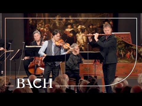 Bach - Brandenburg Concerto no. 5 in D major BWV 1050 - Sato | Netherlands Bach Society