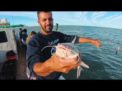 ESTO PASÓ CUANDO INTENTÉ PESCAR EN EL MAR POR PRIMERA VEZ EN MONTE HERMOSO CON LA VASQUITA
