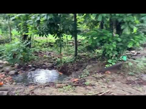 img-video