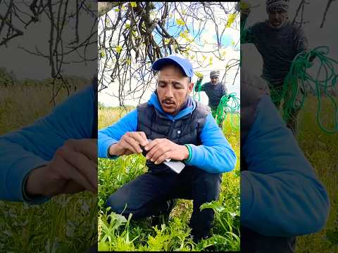 مادا يحدث في النهاية !!😱