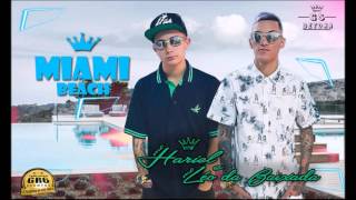 Mc Léo da Baixada e Mc Hariel   Miami Beach