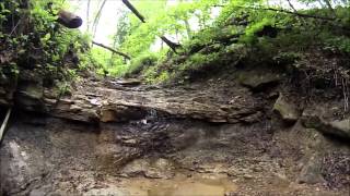 preview picture of video 'Hike Up the Ugly Trail Wellsville, Ohio 05/11/2013'