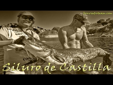 MONSTRUO DE RIO SALVAJE #2 ¡BRUTAL! | PESCA DE SILURO | 2017 | HD