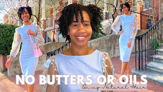 Natural Hair Detox: Week 5 of No Raw Butters or Oils | ONE Product Twist Out! 😱 | Gabrielle Ishell