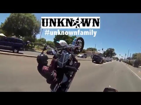 Dynamic Dyna Unknown Industries Harley Wheelies HD