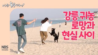 [나는농부다 251회] 강릉 귀농 로망과 현실 사이
