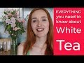 Everything You Need To Know About White Tea By Teapro
