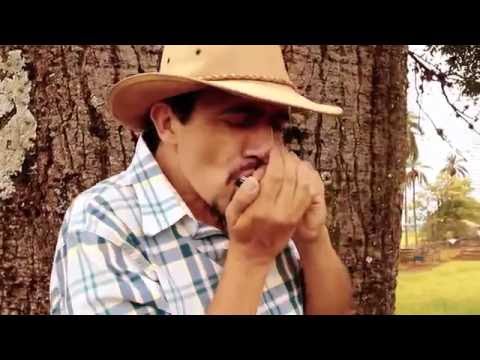Clipe - Rancho Alegre - Ronaldo Sabino
