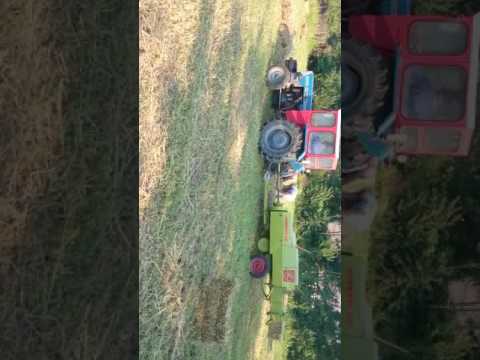 Moș Ion la îmbalotat la Turturesti City