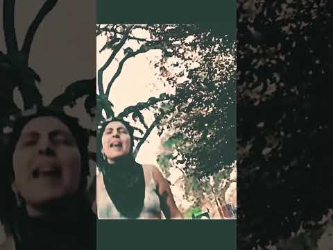 Pedro pastor, Sofía Viola y Los Locos Descalzos