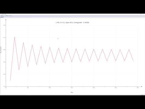 Program video