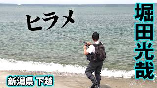 ヒラメ・イワシ