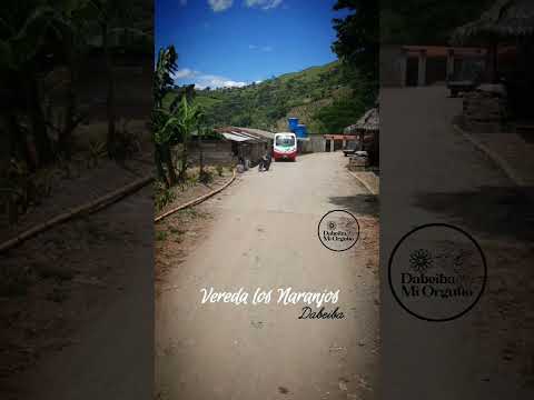 Los Naranjos, hoy nos fuimos a conocer esta mágica vereda del municipio de #Dabeiba #Antioquia