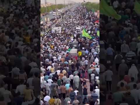 شاهد بالفيديو.. حشود الزائرين تواصل زحفها نحو كربلاء المقدسة