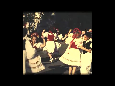 video frame placeholder