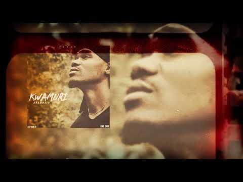 BrownXin - KwaMuri (Audio)