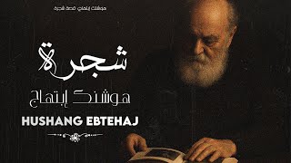 سرّ الشجرة قصيدة هوشنگ ابتهاج التي تختصر معنى الحياة