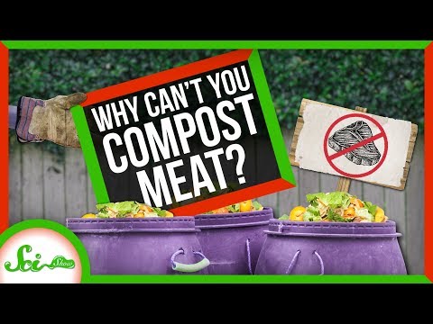 為什麼不能堆肥肉？ (Why Can't You Compost Meat?)