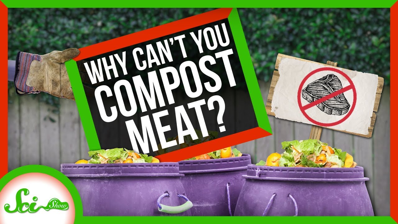 Why Can't You Compost Meat? - YouTube