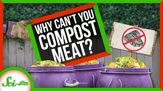 Why Can't You Compost Meat?