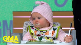 Baby experts share tips on how to successfully feed fussy eaters l GMA
