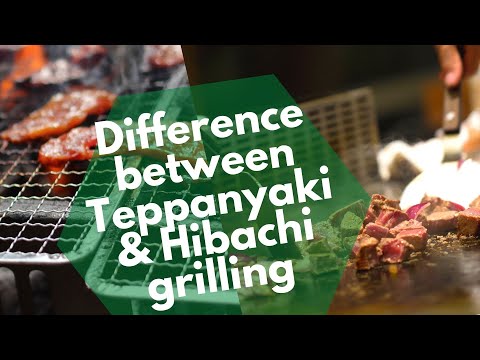 Hibachi: Ndi Chiyani Ndipo Zinachokera Kuti? - Bite My Bun